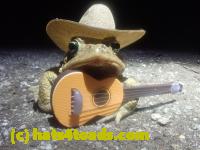 /home//u458753944/public_html/sourcegallery//Roxborough Toad Detour/2026/2026-03-22/P3221584.JPG